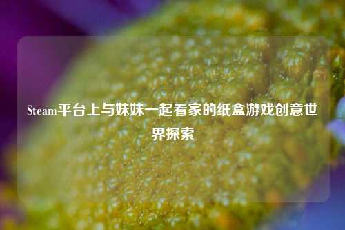 Steam平台上与妹妹一起看家的纸盒游戏创意世界探索