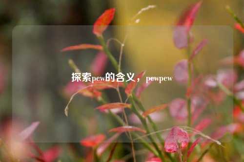 探索pew的含义，pewpew