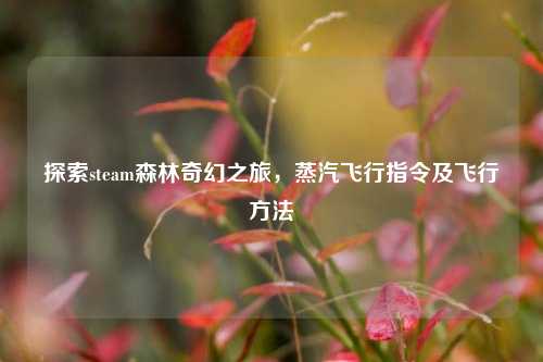 探索steam森林奇幻之旅，蒸汽飞行指令及飞行方法