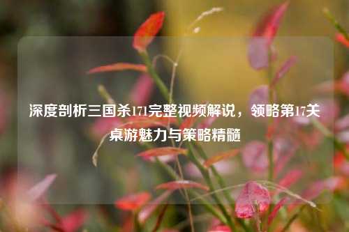 深度剖析三国杀171完整视频解说，领略第17关桌游魅力与策略精髓