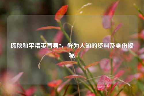 探秘和平精英直男7，鲜为人知的资料及身份揭秘