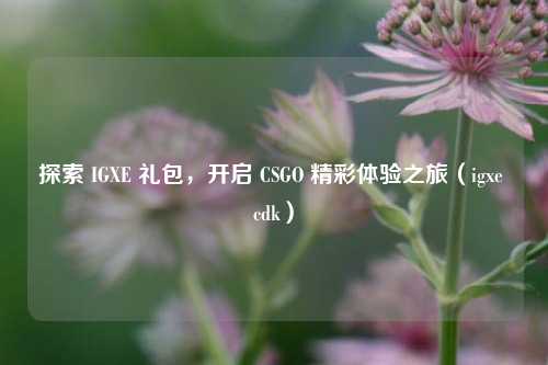 探索 IGXE 礼包，开启 CSGO 精彩体验之旅（igxe cdk）