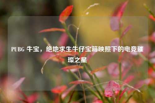 PUBG 牛宝,绝地求生牛仔宝箱映照下的电竞璀璨之星