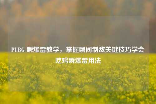PUBG 瞬爆雷教学,掌握瞬间制敌关键技巧学会吃鸡瞬爆雷用法