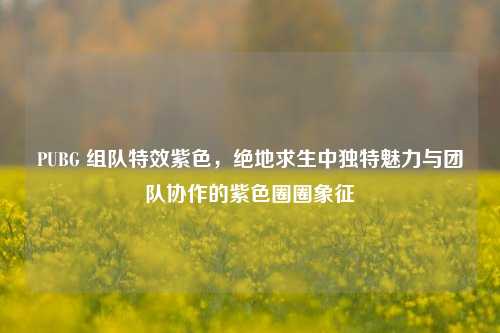 PUBG 组队特效紫色,绝地求生中独特魅力与团队协作的紫色圈圈象征