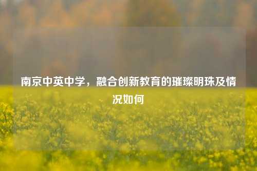 南京中英中学，融合创新教育的璀璨明珠及情况如何