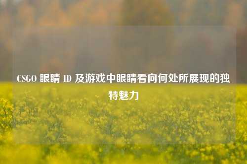 CSGO 眼睛 ID 及游戏中眼睛看向何处所展现的独特魅力