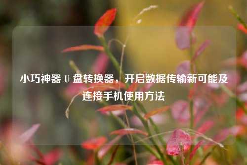 小巧神器 U 盘转换器,开启数据传输新可能及连接手机使用方法