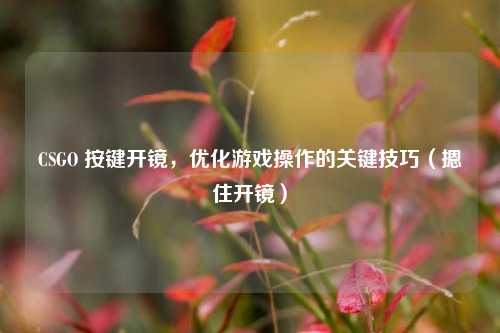 CSGO 按键开镜，优化游戏操作的关键技巧（摁住开镜）