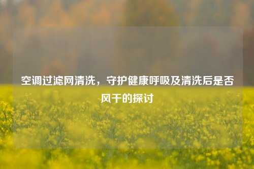 空调过滤网清洗,守护健康呼吸及清洗后是否风干的探讨