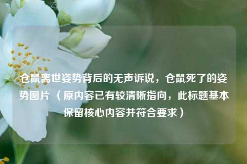 仓鼠离世姿势背后的无声诉说，仓鼠死了的姿势图片 （原内容已有较清晰指向，此标题基本保留核心内容并符合要求）