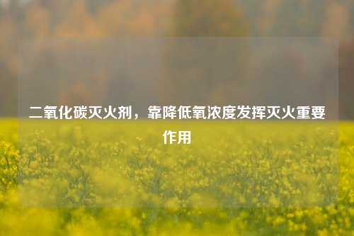 二氧化碳灭火剂,靠降低氧浓度发挥灭火重要作用