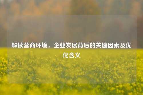 解读营商环境，企业发展背后的关键因素及优化含义