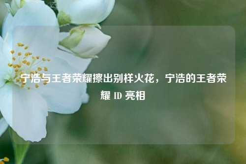 宁浩与王者荣耀擦出别样火花，宁浩的王者荣耀 ID 亮相