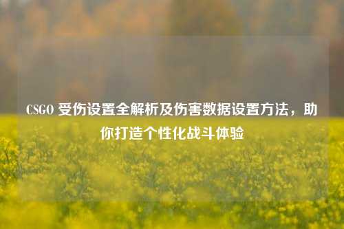 CSGO 受伤设置全解析及伤害数据设置方法,助你打造个性化战斗体验
