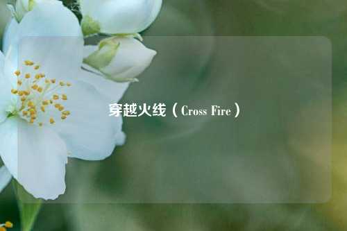 穿越火线（Cross Fire）