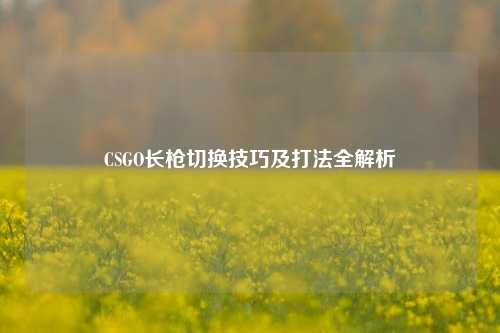 CSGO长枪切换技巧及打法全解析