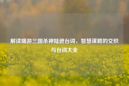 解读端游三国杀神陆逊台词,智慧谋略的交织与台词大全