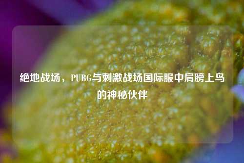 绝地战场，PUBG与刺激战场国际服中肩膀上鸟的神秘伙伴