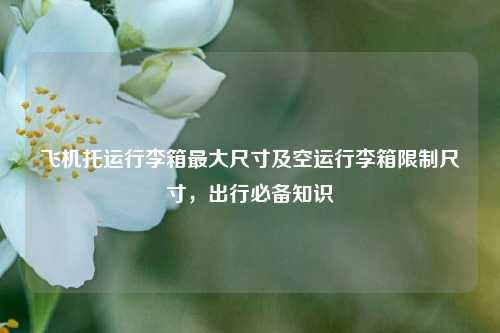 飞机托运行李箱最大尺寸及空运行李箱限制尺寸,出行必备知识