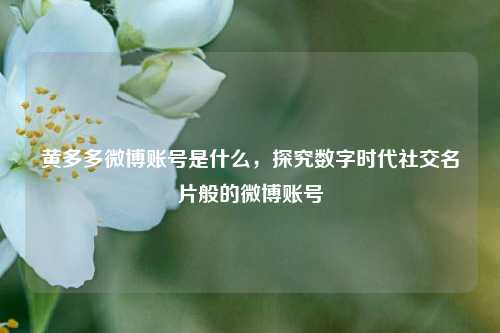 黄多多微博账号是什么,探究数字时代社交名片般的微博账号