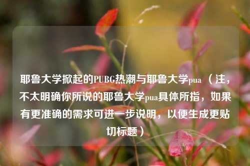 耶鲁大学掀起的PUBG热潮与耶鲁大学pua (注,不太明确你所说的耶鲁大学pua具体所指,如果有更准确的需求可进一步说明,以便生成更贴切标题)