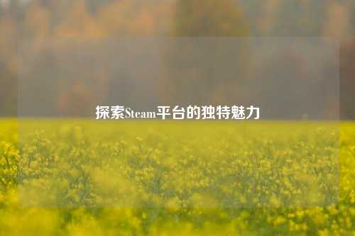 探索Steam平台的独特魅力