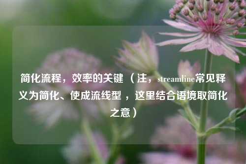 简化流程,效率的关键 (注,streamline常见释义为简化、使成流线型 ,这里结合语境取简化之意)