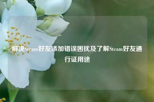 解决Steam好友添加错误困扰及了解Steam好友通行证用途