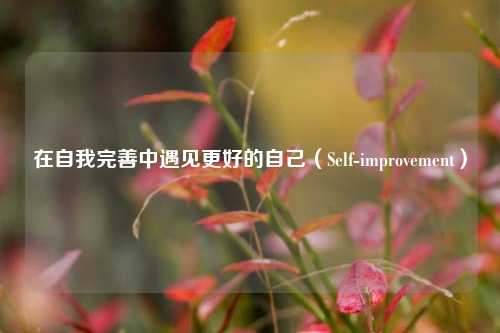 在自我完善中遇见更好的自己（Self-improvement）