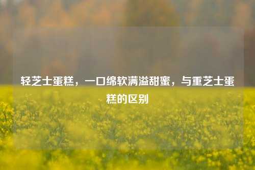 轻芝士蛋糕，一口绵软满溢甜蜜，与重芝士蛋糕的区别