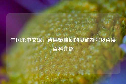 三国杀中文鸳，智谋策略间的灵动符号及百度百科介绍