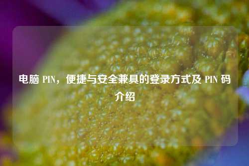 电脑 PIN，便捷与安全兼具的登录方式及 PIN 码介绍