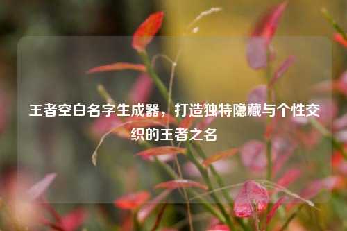 王者空白名字生成器,打造独特隐藏与个性交织的王者之名