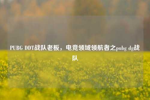 PUBG DDT战队老板,电竞领域领航者之pubg dg战队