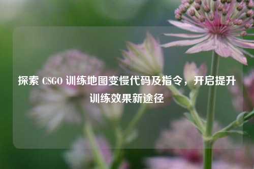 探索 CSGO 训练地图变慢代码及指令,开启提升训练效果新途径
