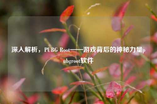 深入解析，PUBG Root——游戏背后的神秘力量pubgroot软件