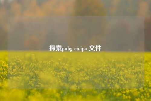 探索pubg cn.ipa 文件