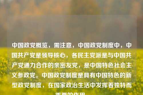 中国政党概览,需注意,中国政党制度中,中国共产党是领导核心,各民主党派是与中国共产党通力合作的亲密友党,是中国特色社会主义参政党。中国政党制度是具有中国特色的新型政党制度,在国家政治生活中发挥着独特而重要的作用。