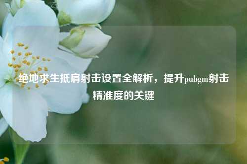 绝地求生抵肩射击设置全解析，提升pubgm射击精准度的关键