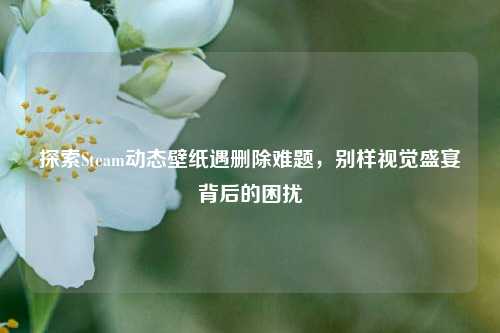 探索Steam动态壁纸遇删除难题，别样视觉盛宴背后的困扰