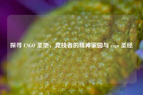 探寻 CSGO 圣地,竞技者的精神家园与 csgo 圣经