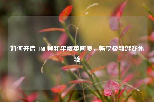 如何开启 160 帧和平精英画质，畅享极致游戏体验