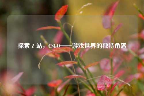 探索 Z 站，CSGO——游戏世界的独特角落