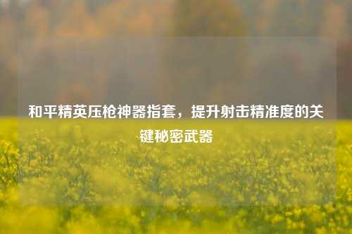 和平精英压枪神器指套，提升射击精准度的关键秘密武器