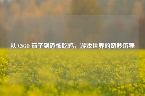 从 CSGO 茄子到恐怖吃鸡,游戏世界的奇妙历程