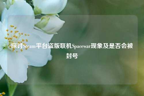 探讨Steam平台盗版联机Spacewar现象及是否会被封号
