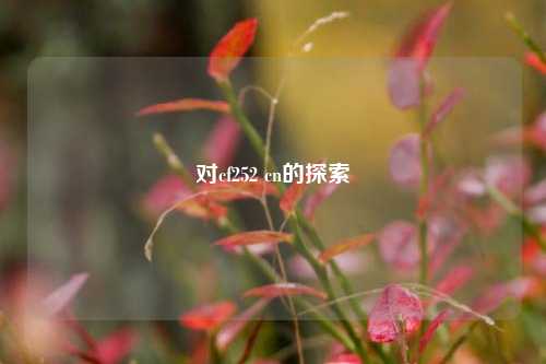 对cf252 cn的探索