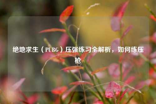 绝地求生(PUBG)压强练习全解析,如何练压枪