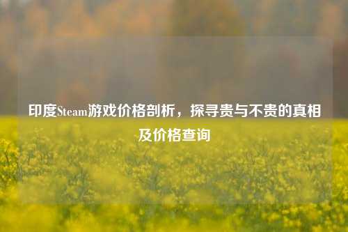 印度Steam游戏价格剖析，探寻贵与不贵的真相及价格查询
